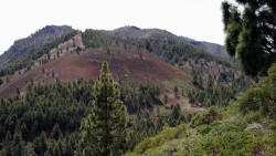 020-La Palma-Cumbre-Vieja-1