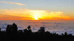 074-La Palma-Sonnenuntergang-1