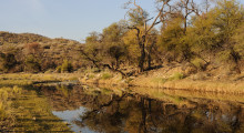 005-Namibia-Duesternbrook-2