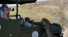 012-Namibia-Tierfotografie