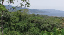 018-Costa-Rica-Dschungel-2