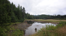 027-Kanada-Vancouver-Island-Port-Hardy-Weisskopfseeadler-1