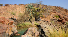 045-Namibia-Baobab