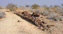 083-Namibia-Versteinerter Wald-1