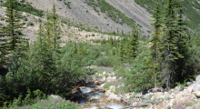 087-Kanada-Jasper-Mount-Edith-Bach