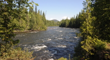 091-Kanada-Wells-Gray-Murtle-River