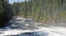 095-Kanada-Wells-Gray-Dawson-Falls-4