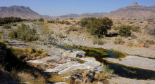 130-Namibia-Zebra-River-1