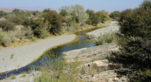 131-Namibia-Zebra-River-2