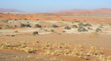 135-Namibia-Sossusvlei-3